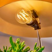 Shelly Bulb E27 Vintage A60