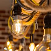 Shelly Bulb E27 Vintage A60
