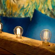 Shelly Bulb E27 Vintage A60