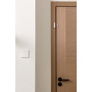 Aqara Door and Window Sensor P2