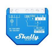 Shelly Qubino Wave 1