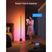Govee RGBICWW Floor Lamp Pro