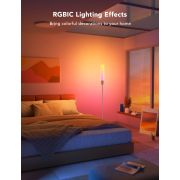 Govee RGBICWW Cylinder Floor Lamp