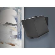 Flexson Mount for Five Black