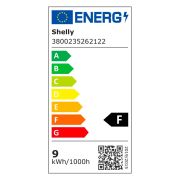 Shelly Bulb E27 Duo White
