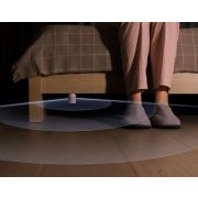 Aqara Motion and Light Sensor P2